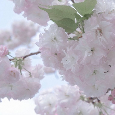 Furry兽设设计干货福瑞交流群